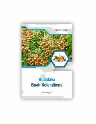 Budidaya Buah Kelengkeng